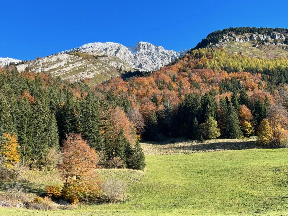 Cours de Vini Yoga dans le Vercors à Villard-de-Lans, Lans-en-Vercors et au Grand-Lemps